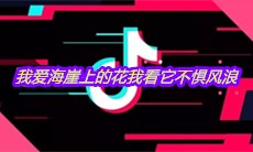 抖音我爱海崖上的花我看它不惧风浪是什么歌