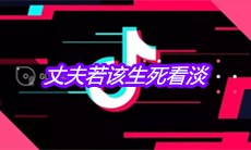 抖音丈夫若该生死看淡是什么歌