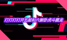 抖音打打打打开五脏和六腑卧虎斗藏龙是什么歌