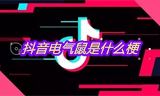 抖音电气鼠是什么梗