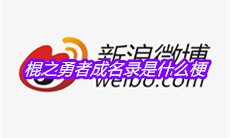 棍之勇者成名录是什么梗