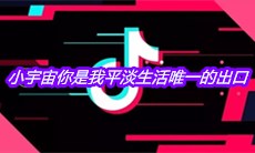 抖音小宇宙你是我平淡生活唯一的出口是什么歌