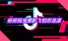 抖音杨柳摇曳雁影飞相思荡漾是什么歌