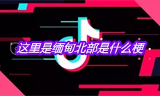 抖音这里是缅甸北部是什么梗
