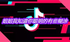 抖音姐姐我知道你聪明的有些糊涂是什么歌