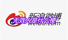 无效人是什么梗