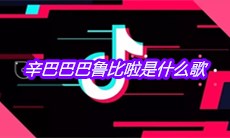 抖音辛巴巴巴鲁比啦是什么歌
