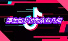 抖音浮生如梦过为欢有几何是什么歌