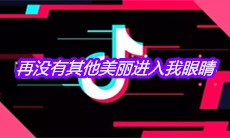 抖音一见就钟情再没有其他美丽进入我眼睛是什么歌