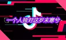 抖音一个人独对这岁末寒兮是什么歌