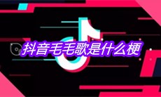 抖音毛毛歌是什么梗
