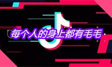 抖音每个人的身上都有毛毛是什么歌