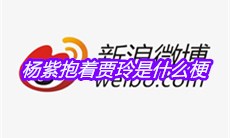 杨紫抱着贾玲是什么梗