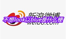 不想look以blue是什么梗