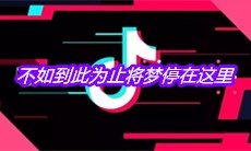 抖音不如到此为止将梦停在这里是什么歌
