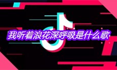 抖音我听着浪花深呼吸是什么歌