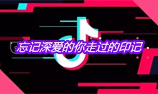 抖音忘记深爱的你走过的印记是什么歌