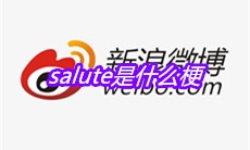 salute是什么梗