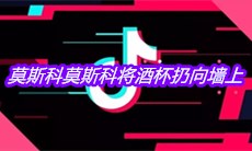 抖音莫斯科莫斯科将酒杯扔向墙上是什么歌