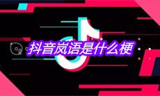 抖音岚语是什么梗