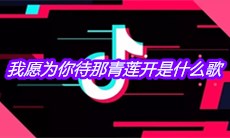 抖音我愿为你待那青莲开是什么歌