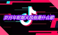 抖音岁月年轮烟火风俗是什么歌
