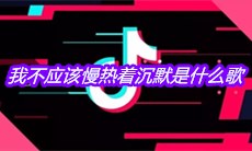 抖音我不应该慢热着沉默是什么歌