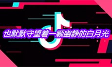 抖音也默默守望着一颗幽静的白月光是什么歌