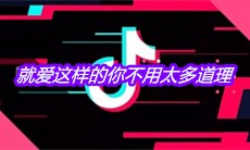 抖音就爱这样的你不用太多道理是什么歌