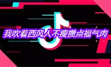 抖音我吹着西风人不瘦攒点福气肉是什么歌