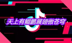 抖音天上有鲲鹏展翅傲苍穹是什么歌