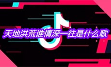 抖音天地洪荒谁情深一往是什么歌