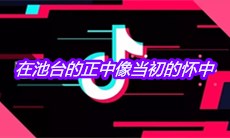抖音在池台的正中像当初的怀中是什么歌