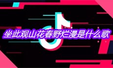 抖音坐此观山花春野烂漫是什么歌