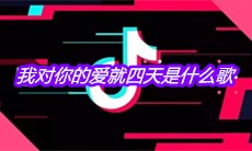 抖音我对你的爱就四天是什么歌