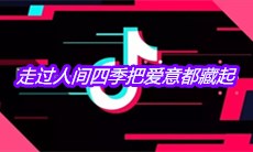 抖音走过人间四季把爱意都藏起是什么歌