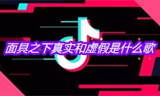 抖音面具之下真实和虚假是什么歌