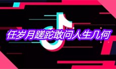 抖音任岁月蹉跎敢问人生几何是什么歌