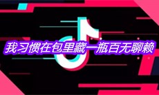 抖音我习惯在包里藏一瓶百无聊赖是什么歌