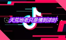 抖音天荒地老只是情到浓时是什么歌