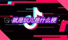 抖音就是玩儿是什么梗