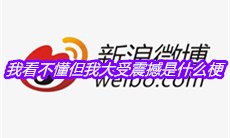 我看不懂但我大受震撼是什么梗