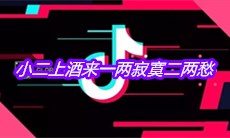 抖音小二上酒来一两寂寞二两愁是什么歌