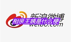 相亲王姨是什么梗