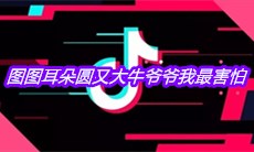 抖音图图耳朵圆又大牛爷爷我最害怕是什么歌