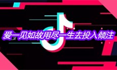 抖音爱一见如故用尽一生去投入倾注是什么歌