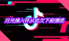抖音月光撞入怀从此欠下痴情债是什么歌