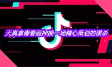 抖音天真拿青春画押换一场精心策划的谋杀是什么歌