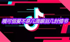 抖音哦可惜爱不是几滴眼泪几封情书是什么歌