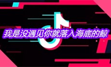 抖音我是没遇见你就落入海底的鲸是什么歌